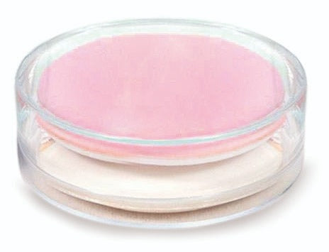 The Body Set Cushion makeup sponges
