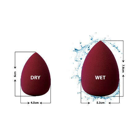 The Body Set Makeup Blender Sponge