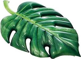 Intex Palm Leaf Mat 213 x 142 cm