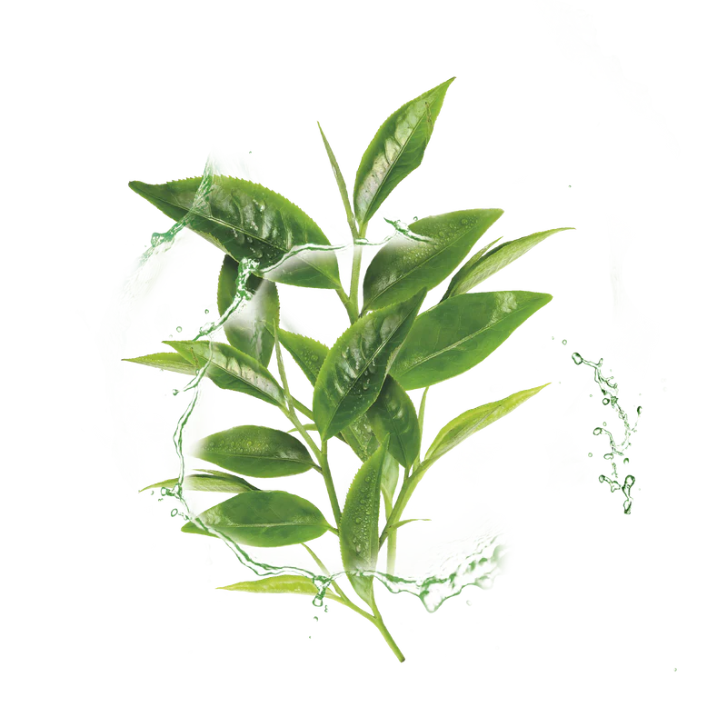 Garnier Hydra Bomb Green Tea Super-Hydrating & Rebalancing Tissue Mask for Normal to Combination Skin