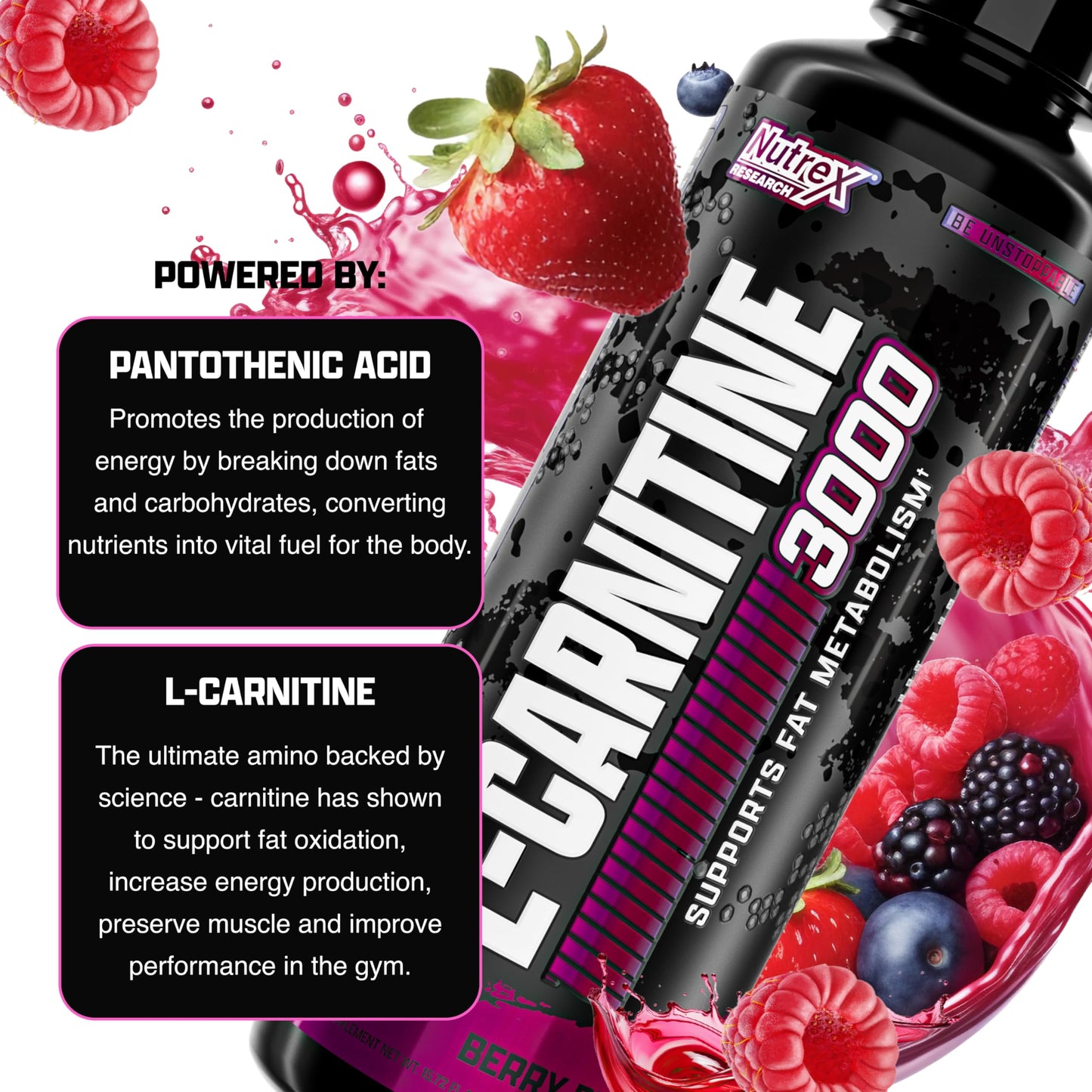 Nutrex Research L-Carnitine 3000  31 srv