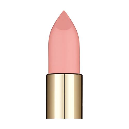 L’Oréal Paris Color-Riche Matte Addiction Lipstick
