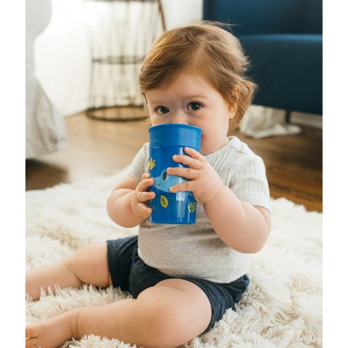 Dr. Brown’s Training Sippy Cups Cheers360, 300ML, 9m+