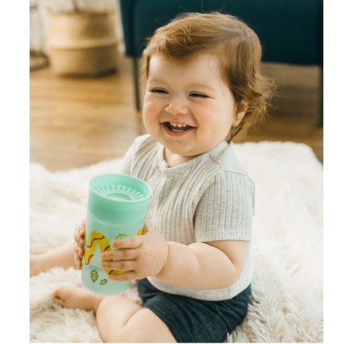 Dr. Brown’s Training Sippy Cups Cheers360, 300ML, 9m+