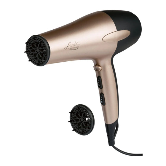 Alessandra Ambrosio Hair Dryer