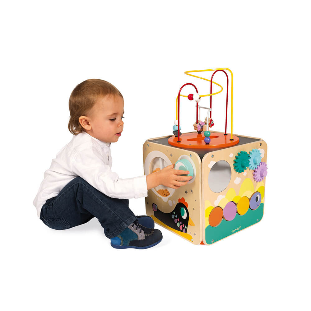 Janod Multi-Activity Looping Toy (wood)